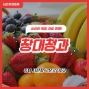 창대과일