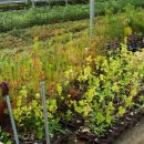 수종목장 이미지