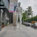 시스루테라피