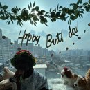 똥강아지 | 서울 중랑구 애견카페 추천 아지랑 면목동 똥강아지 카페 다녀온 후기