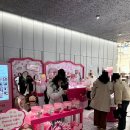 연무장7길 | 캔메이크 올리브영N 성수 팝업 방문 후기