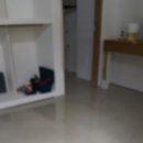 패션프라자 이미지