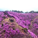 에스정보통신(주) 이미지