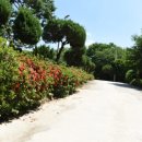 산애들애 이미지