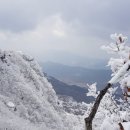 황매산군립공원 이미지