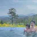 설해별담 이미지