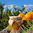 외갓집농장 이미지