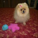 샤니미용실 이미지