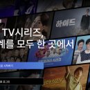 프리미어스포츠 티스토리