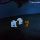 꼬마강아지 이미지