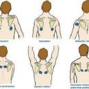 대성휘트니스헬스 이미지