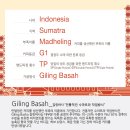 만델링 이미지