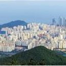 희성카써비스 이미지