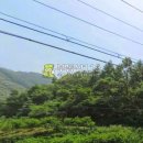 영림목장 이미지