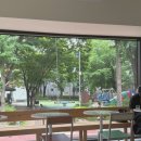 다보네가구 | 송파 신상카페 셰이커커피 [shaker] 뷰맛집카페 내돈내산 방문후기