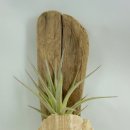 티디컴퍼니 이미지