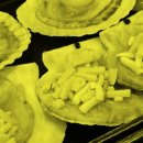 대천키조개삼합 이미지