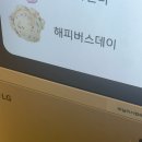 파티앤 캣 | 회식 - 야근 - 독감의 미친(n) 일상