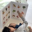 기린체육관 | 세이펜호환 마이앤트 쁘띠아코 아기병풍 신생아 터미타임 연습용 병풍 사용 추천 후기