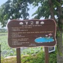 유등연지입구 이미지