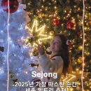 이응다리 남측 화장실 | 세종 겨울여행 야경명소 2025 빛트리축제 기본정보 시청앞 이응다리