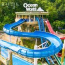 2081 | 워터파크리조트 오션월드 수영장리조트 예약 가격 시설 후기