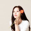 소나무둥지 이미지