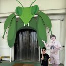 장자길82번길26 | [경기도 구리]100만 생물유튜버 TV생물도감의 521농업생태체험장