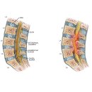 경희베스트한의원 이미지