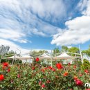 구민체육광장 화장실 이미지