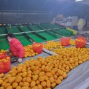 진순농장 이미지