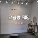 14. 드레스투어 - 르블랑 후기 (피팅룸)