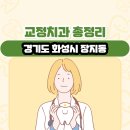 정현치과의원 | 경기도 화성시 장지동 교정치과 총정리