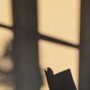 코드라이프 이미지