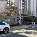 청구고등학교 정문 이미지