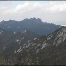 달맞이산장
