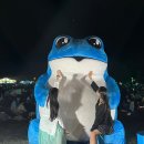 2024 이라페 준비하기ㅣ2023 이라페 후기