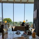 JW메리어트 제주 스파&리조트 2호기 | [여행] 제주 서귀포 JW 메리어트 제주 리조트&스파 조식 브런치 후기 탈탈탈 털어옴 (내돈내산)