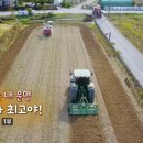 창환농장 이미지