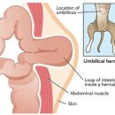 사직동물의료센터 이미지