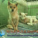 장남면사무소 이미지