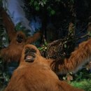 아프리카 박물관 이미지