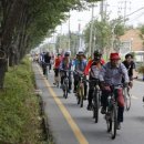 기린대로 이미지