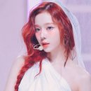 (주)레드오렌지 이미지