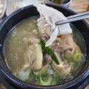 원주 매지리 백숙 맛집 가리왕산 약초백숙 방문 후기