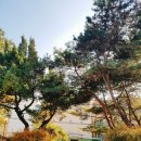 강감찬 생가 터 이미지