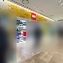 카페인중독잠실