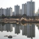 한강신도시 호수공원 이미지