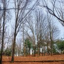 근린공원(게이트볼장옆)화장실 | 가락동 웃말근린공원｜언덕과 평지를 따라 걷다