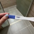 임신초기 기록